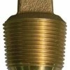 New 🎁 A.Y. McDonald 2 in. CC Brass Plug 🎉